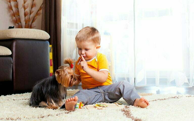 Un enfant jouant avec un petit chien.